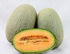 悟空吃哈密瓜,美味之旅开启