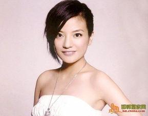 赵薇的明星故事,从青涩校园到影坛巨星的多彩人生