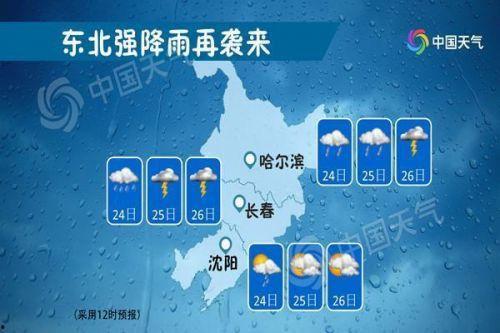 苏力在哪里爆料的新闻最多,揭秘网络热点背后的真相